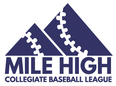 Playoffs logo